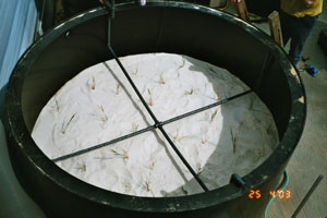 Retentionsbodenfilder BGS
